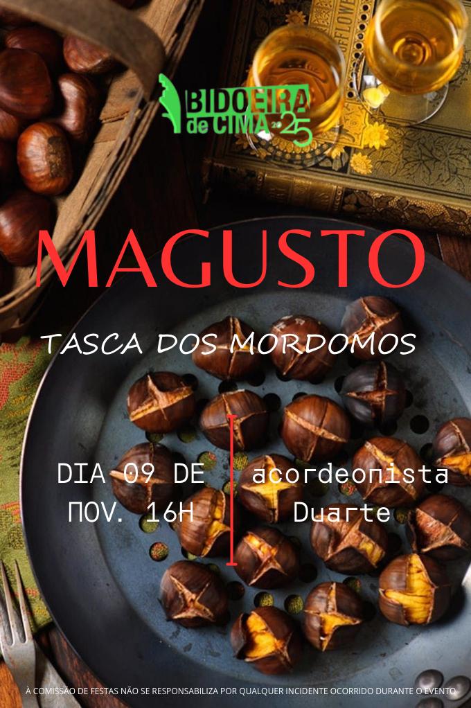 Imagem Magusto - Comissão de festas Bidoeira de Cima