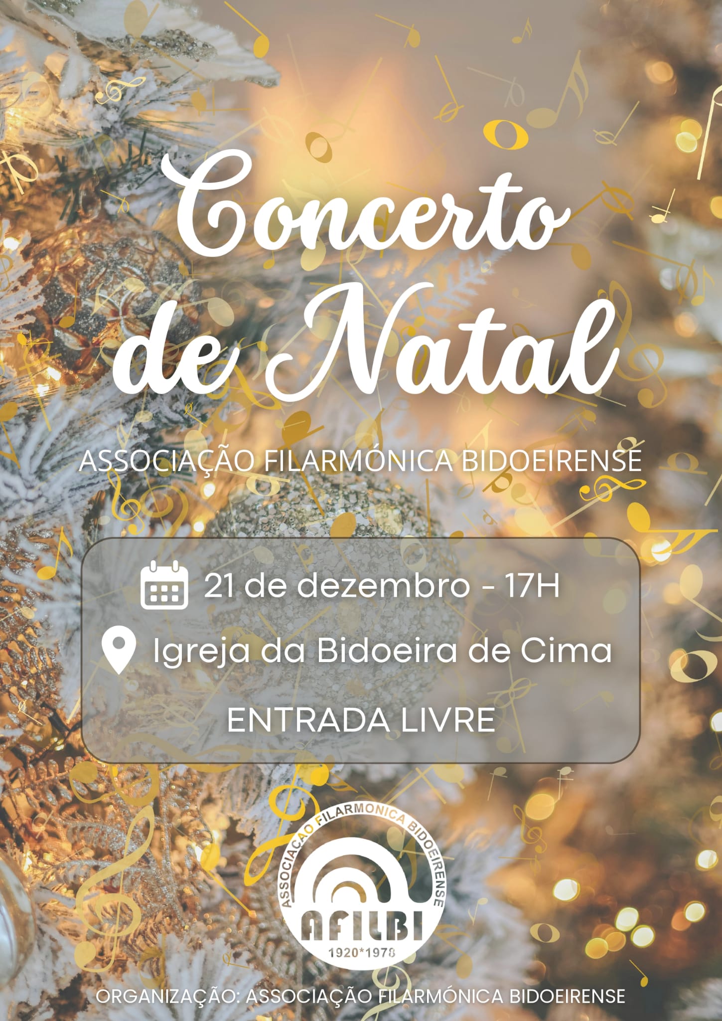 Imagem Concerto de Natal - AFILBI