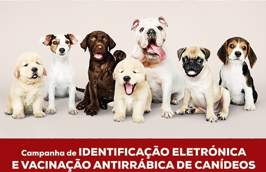 Imagem Vacinação Contra a Raiva e Identificação Eletrónica - Bidoeira de Cima - 15 de Junho - 9h30 - Estaleiro da Junta de Freguesia, junto ao Cemitério