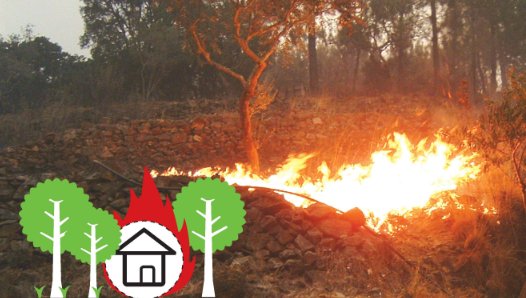 Imagem Queima de sobrantes. Como proceder?