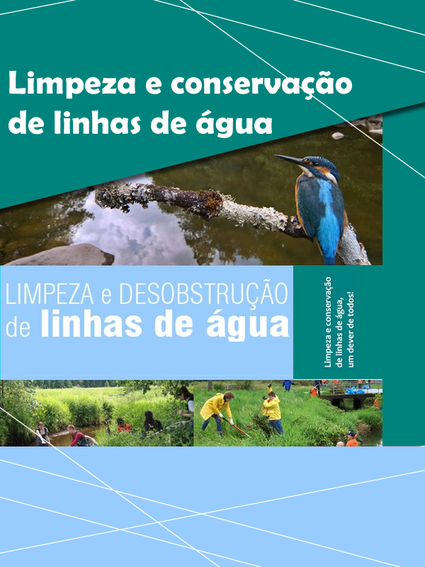Imagem Limpeza e Conservação das Linhas de Água